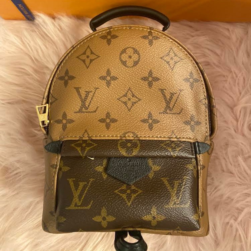 ❌SOLD❌ Louis Vuitton mini palm spring backpack